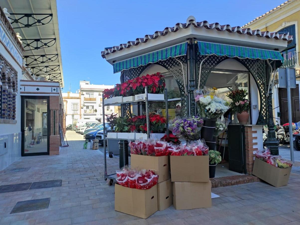 La Terraza De Salomon Apartamentosmalagamanagement Экстерьер фото
